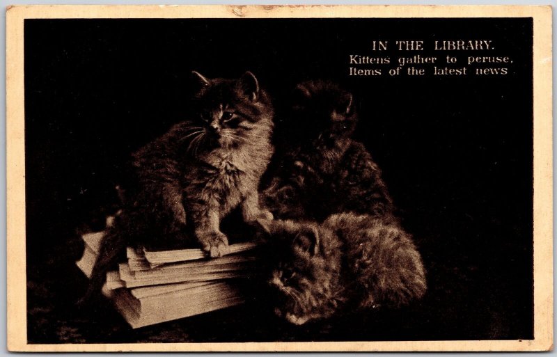 1910's In The Library Kittens Gather To Peruse Items Of The News Posted Postcard