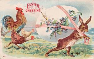 EASTER GREETING...ROOSTER & HENS CHASE RABBIT STEALING LARGE EGG POSTCARD 1907