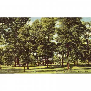 Linen Postcard - Scene in Wadell Park - Niles,Ohio