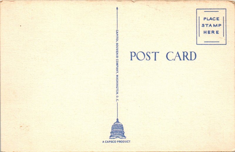 Cherry Blossom Time,Washington Monument,Washington,DC BIN