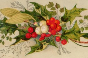 1880s Religious Victorian Christmas Trade Card Holly Winter Bible Verse F179