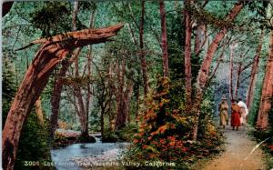 YOSEMITE NATIONAL PARK, CA California   LOST ARROW TRAIL  c1910s     Postcard