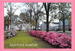 Fort McClellan, Alabama - Quintard Avenue