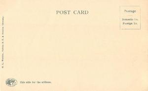 Long Branch with Boats Syracuse New York c1908 Postcard