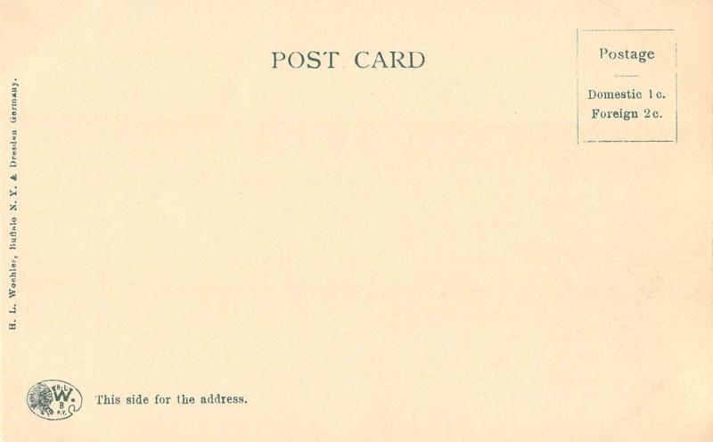 Long Branch with Boats Syracuse New York c1908 Postcard