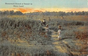 HOMEWARD BOUND AT SUNSET IN DIXIELAND FARMING BLACK AMERICANA POSTCARD (c. 1910)