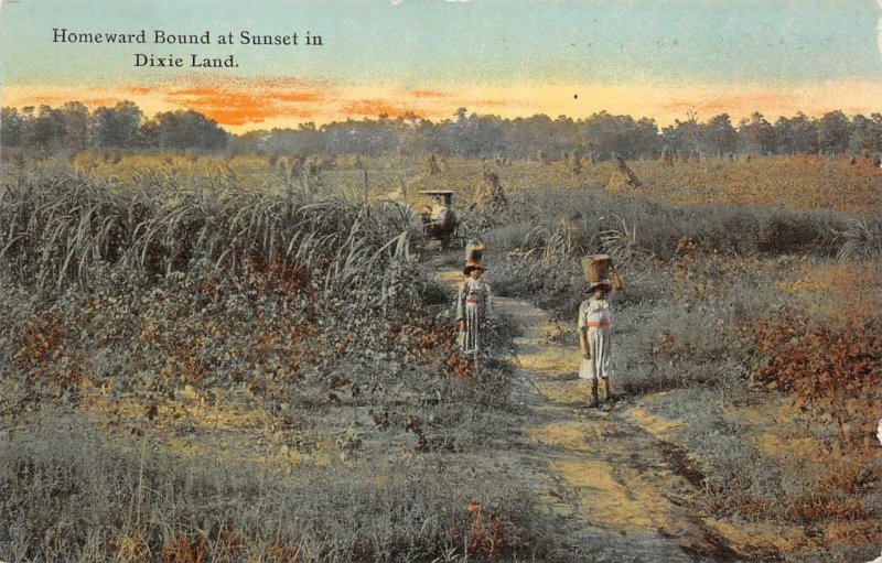 HOMEWARD BOUND AT SUNSET IN DIXIELAND FARMING BLACK AMERICANA POSTCARD (c. 1910)