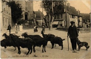 CPA SALIES-DE-BÉARN Chevrier (860642)