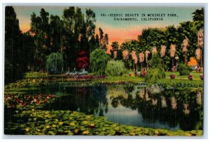 c1940's Scenic Beauty in Mckinley Park, Sacramento California CA Postcard