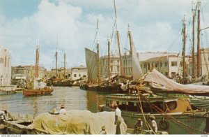 BARBADOS, British West Indies, 1940-60s; The Careenage, Sailboats