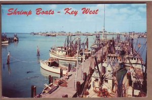 Key West FL Shrimp boats postcard