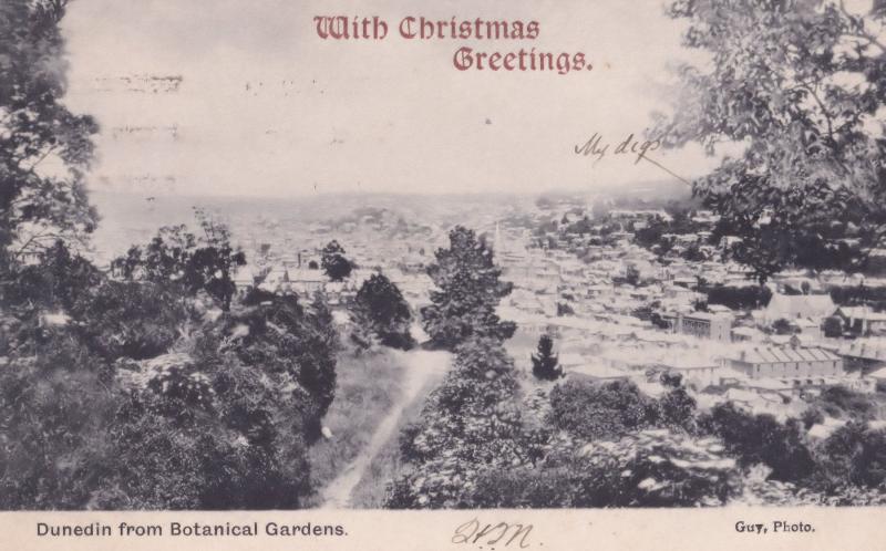 Dunedin Auckland New Zealand From Botanical Gardens Christmas Postcard