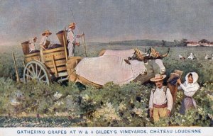 Gathering Grapes Gilbey's Vineyards Wine From 1908 Franco Exhibition Wine Pos...