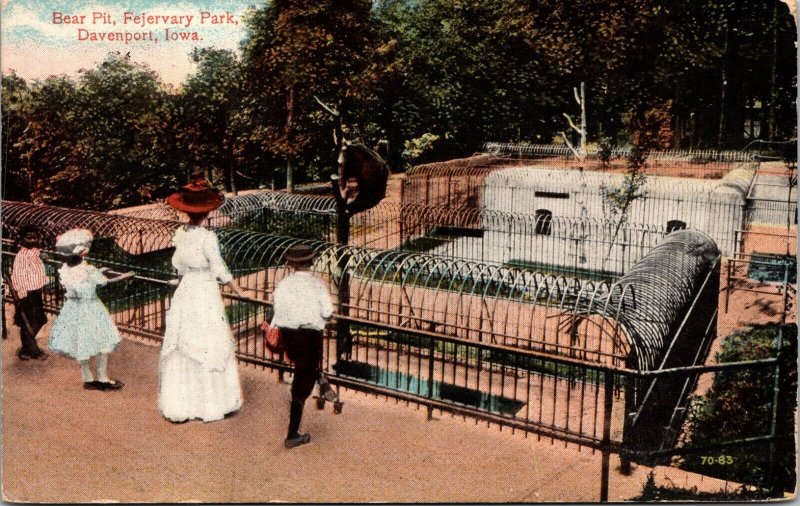 Bear Pit hanging on tree Fejervary Park Davenport Iowa Postcard