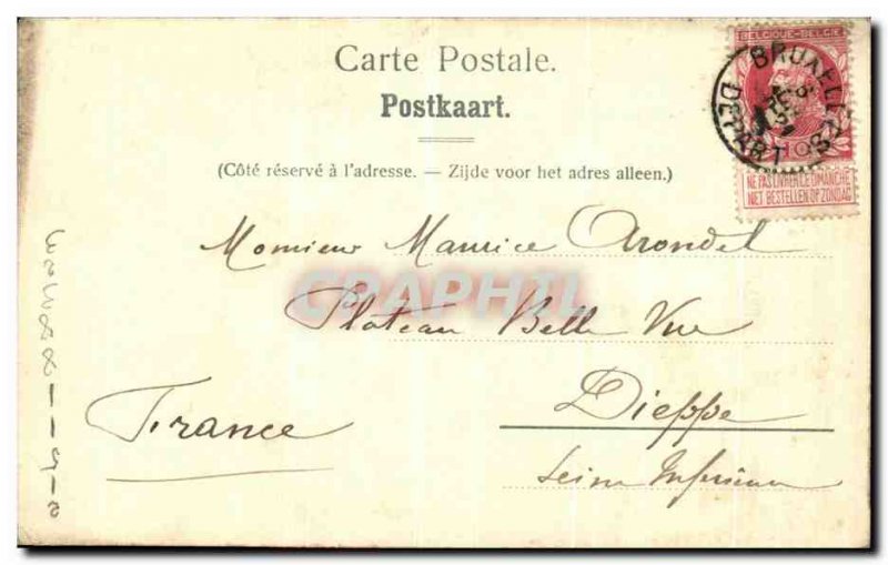 Brussels Old Postcard King's House