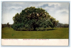 c1920's Suicide Oak City Park New Orleans Louisiana LA Unposted Vintage Postcard 