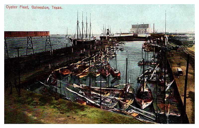 Postcard BOAT SCENE Galveston Texas TX AR7960