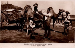 Yemen Camel Carts Steamer Point Aden Camels Being Fed Vintage RPPC 08.73