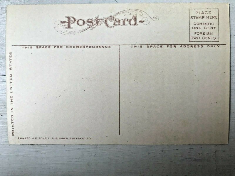 Vintage Postcard 1907-1915 Catholic Church Ogden Utah