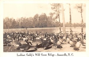 Ansonville North Carolina Lockhart Gaddy's Wild Goose Refuge, RP PC U7852