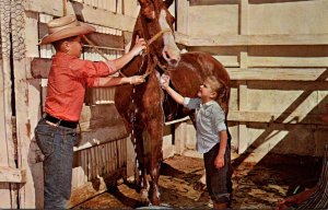 Horses Kids Washing A Horse Owning A Horse Is Not All Play