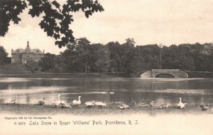 Vintage Postcard Lake Scene In Roger Williams' Park Providence Rhode Island TRC