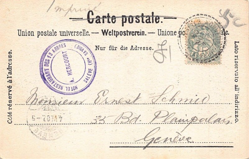 France 1902 Chaine du Mont Blanc Vue Prise du Saleve vintage postcard