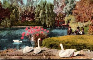 California Los Angeles Swans At East Lake Park 1917