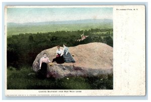 1905 Looking Southeast From High Rock Lodge Sacandaga Park New York NY Postcard