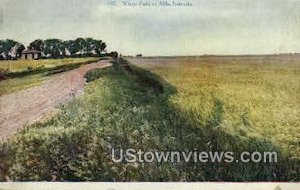 Wheat Field - Alda, Nebraska NE  