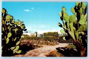 c1950's The Arizona Inn & Restaurant Gardens Cactus Tucson Arizona AZ Postcard