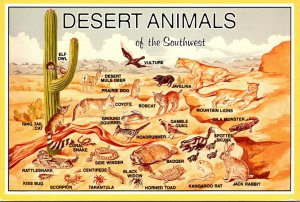 Desert Animals Of The Southwest Desert Scene 1996