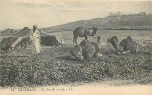 Carthage Tunis Tunisia Gourbi arabe ethnic tent camels