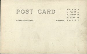 House Lizard Gecko? Philippines c1920 Real Photo Postcard