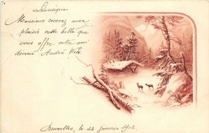 Postcard 1902 Belgium winter forest scene deer undivided FR24-1451