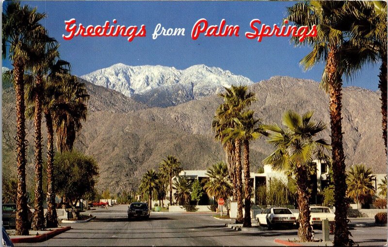 Vtg Palm Springs California CA Street View Mt San Jacinto 1970s Postcard