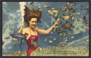 Weekiwachee Spring FL Underwater Mermaid Linen Postcard 1940s