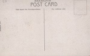 Barbados Coconut Palms at Bath Vintage Postcard 05.32