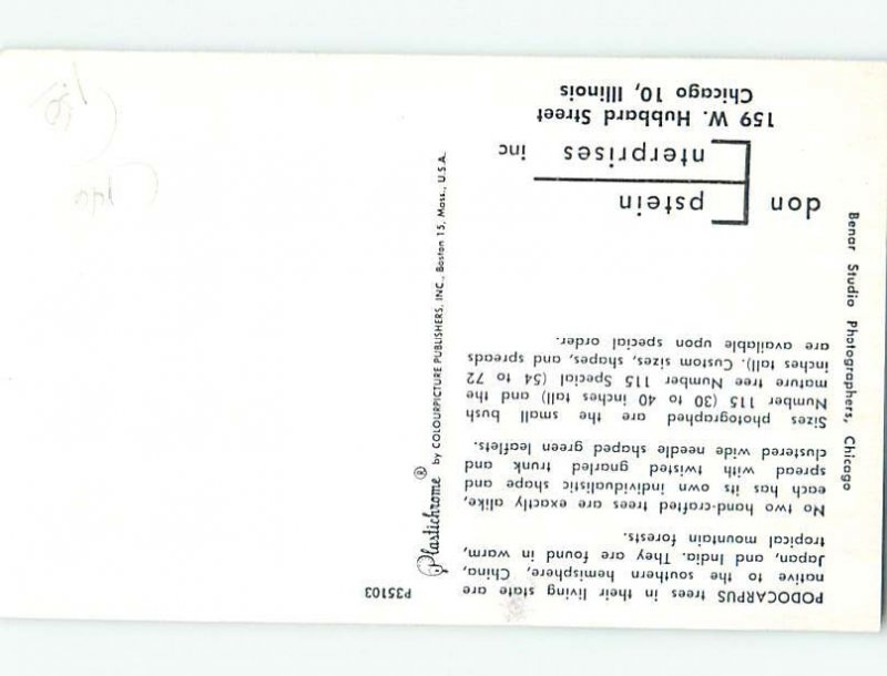 Chrome ARTWORK CARD Chicago Illinois IL AH5128