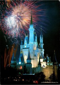 Tokyo, Japan  DISNEYLAND AMUSEMENT PARK  Castle~Night~Fireworks  4X6 Postcard