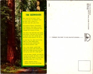 The Redwoods (15041