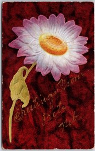 1909 Greetings From Nebraska Flower Large Print Embossed Posted Postcard