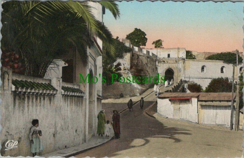 Morocco Postcard - Tanger - Entrance To The Casbah  RS22846