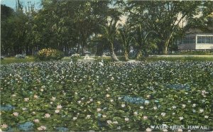 Beautiful C-1910 Water Lilies Hawaii#120 Postcard 21-293