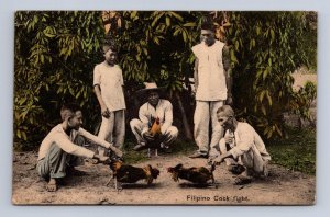 FILIPINO COCK FIGHT PHILIPPINES TO USA POSTCARD EXCHANGE 1911