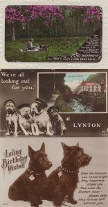 Lynton Devon Military Dogs Real Photo Creased 3x Greetings Postcard