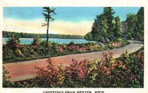 Vintage Postcard 1937 Pathway Road Riverside Greetings From Dexter Michigan MI