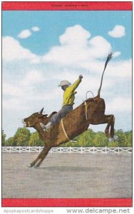 Cowboy Steer Riding