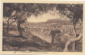 BF18929 a travers les oliviers  constantine  algeria front/back image