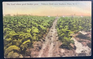 Mint USA Color Picture Postcard Tobacco Field Near Southern Pines NC